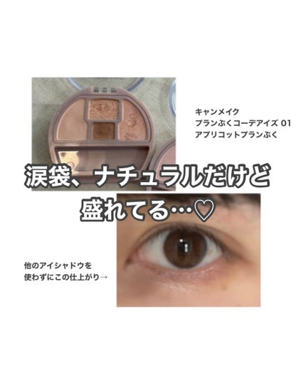 プランぷくコーデアイズ/キャンメイク/パウダーアイシャドウを使ったクチコミ(1枚目)