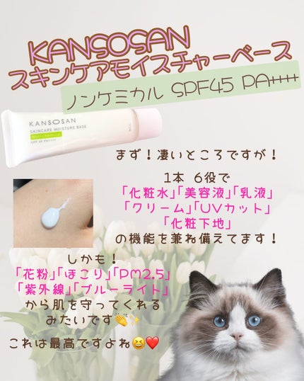 乾燥さん 保湿力スキンケア下地 ノンケミ <化粧下地>/乾燥さん/化粧下地を使ったクチコミ(3枚目)