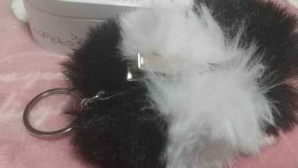 うに on LIPS 「手作りキーホルダー前髪クリップ..」(1枚目)