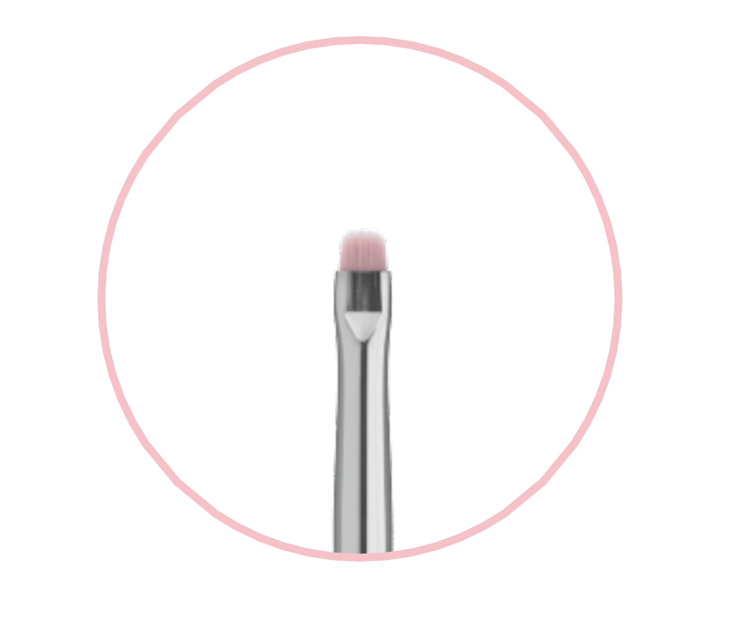 Wonjungyoからパレットの新色とメイクブラシが登場の画像