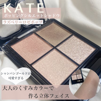 ケイト ポッピングシルエットシャドウ/KATE/アイシャドウパレットを使ったクチコミ(1枚目)