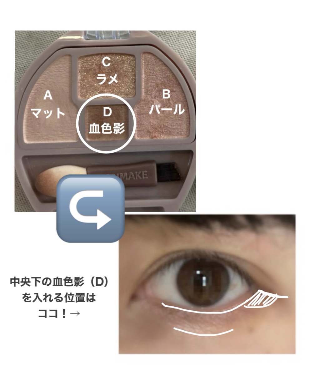 プランぷくコーデアイズ/キャンメイク/パウダーアイシャドウを使ったクチコミ（2枚目）