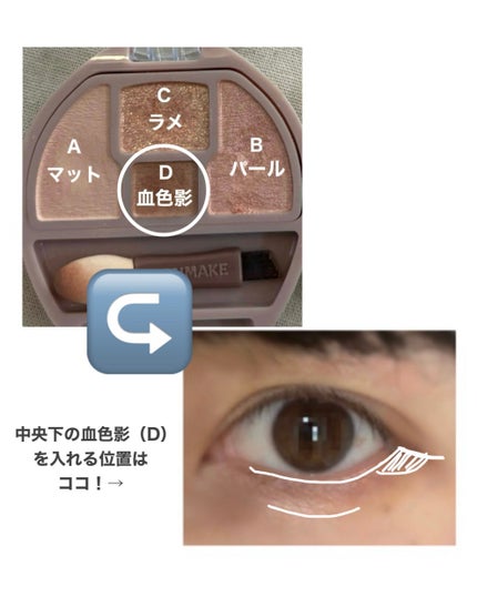 プランぷくコーデアイズ/キャンメイク/パウダーアイシャドウを使ったクチコミ(2枚目)