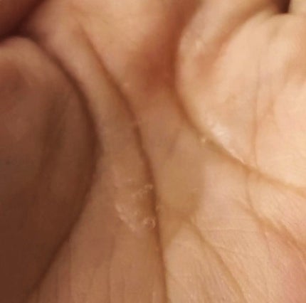 ウォーターコンク モイストヘアオイル/ululis/ヘアオイルを使ったクチコミ(3枚目)