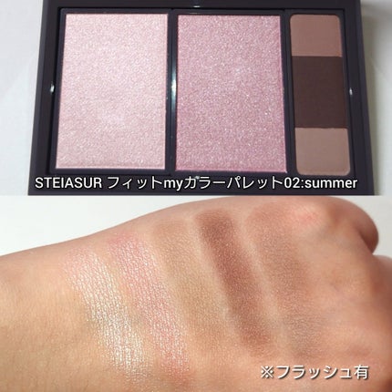 フィット my カラーパレット/STEIASUR(ステイアシュール)/マルチパレットを使ったクチコミ(4枚目)