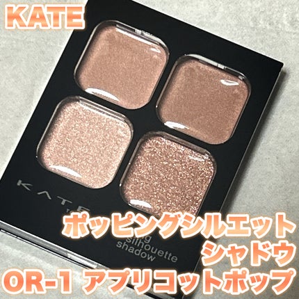ケイト ポッピングシルエットシャドウ/KATE/アイシャドウパレットを使ったクチコミ(1枚目)
