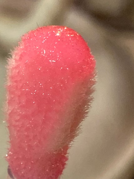 ディオール アディクト リップ グロウ オイル 072 フィズィー ピンク(スプリング コレクション 2026 限定色)/Dior/リップオイルの画像