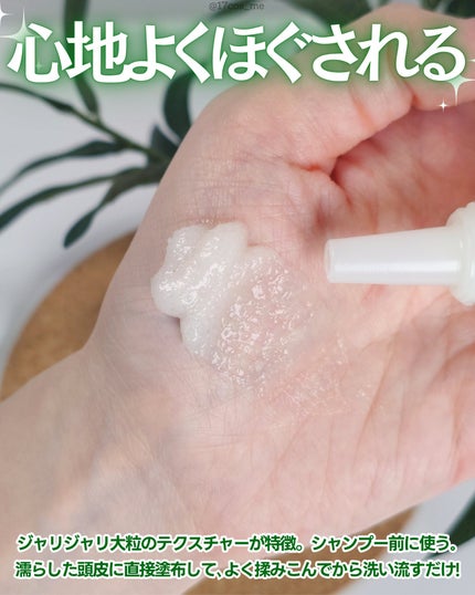 AROMATICA ローズマリー スカルプ スクラブのクチコミ「頭皮の匂いが気になる方に👀💭
✼••┈┈┈┈••✼••┈┈┈┈••✼
AROMATICA
.....」(3枚目)