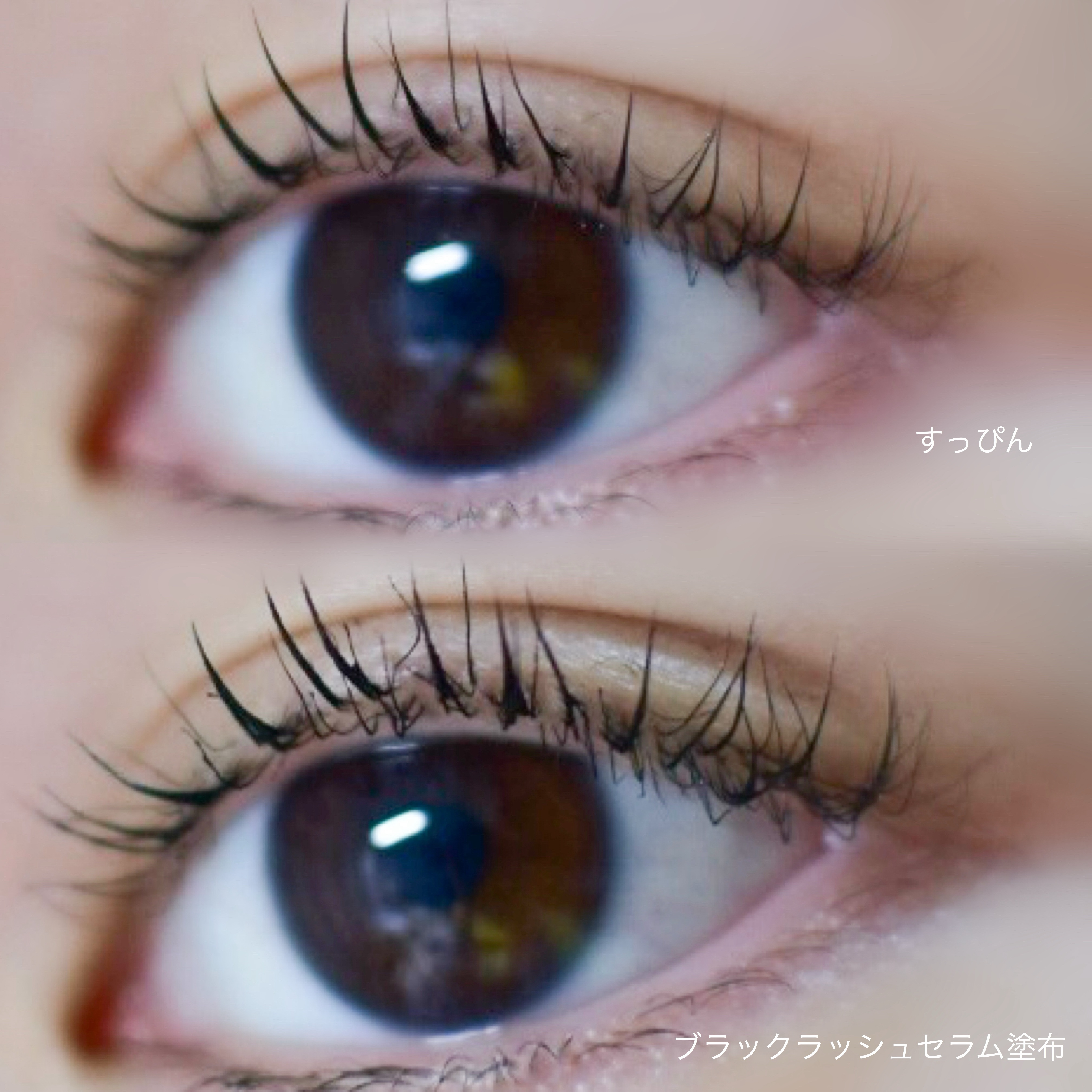 グローターンエクソソームデュアルラッシュセラム/リリーイブ/まつげ美容液を使ったクチコミ（3枚目）