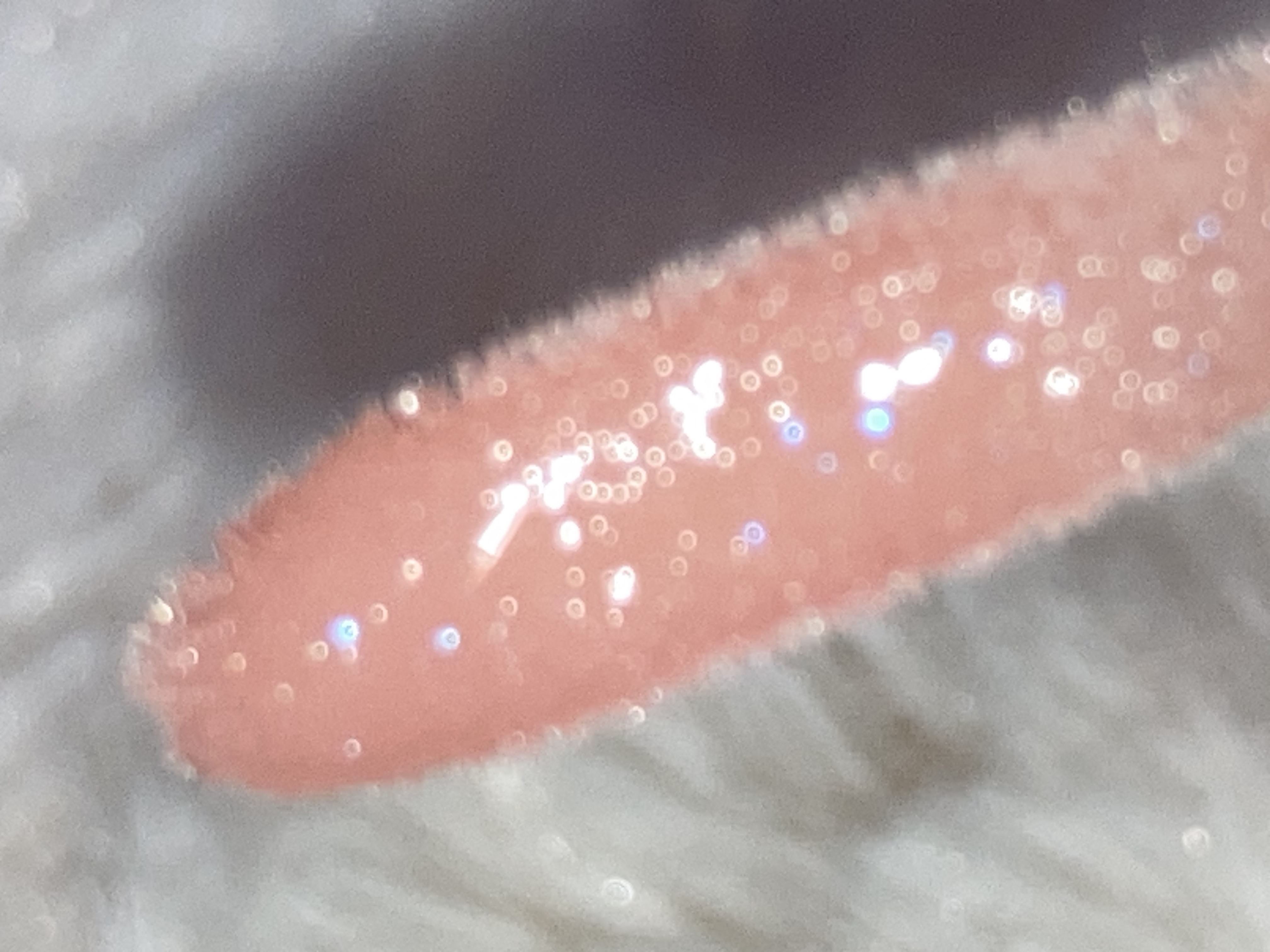 ちゅるリップランパー/muice/リッププランパーを使ったクチコミ（3枚目）