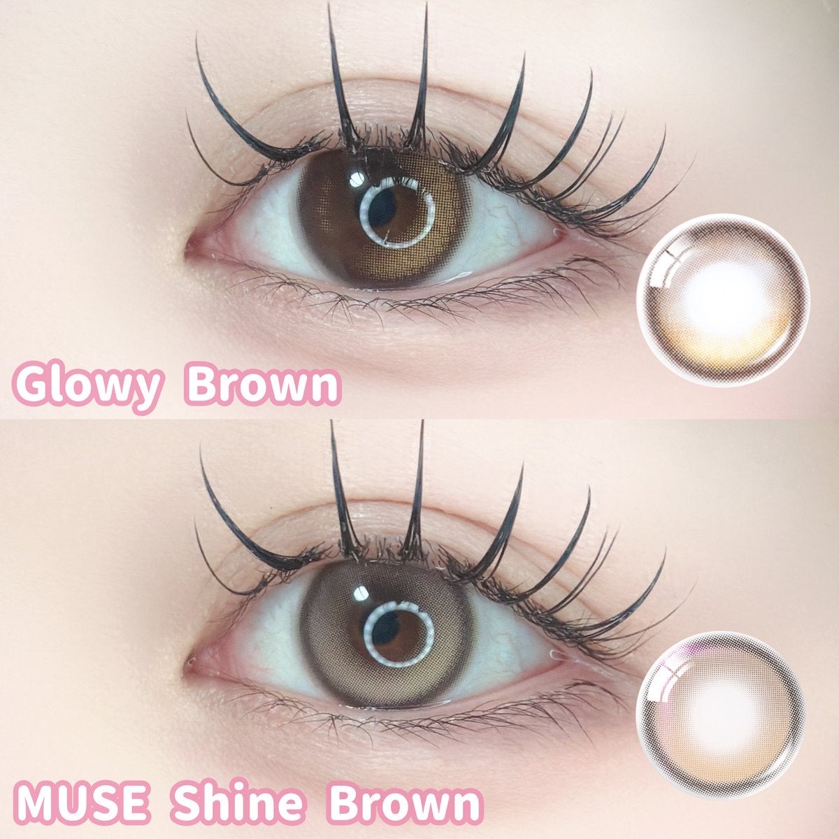 MUSE 1day/OLENS/ワンデー（１DAY）カラコンを使ったクチコミ（2枚目）