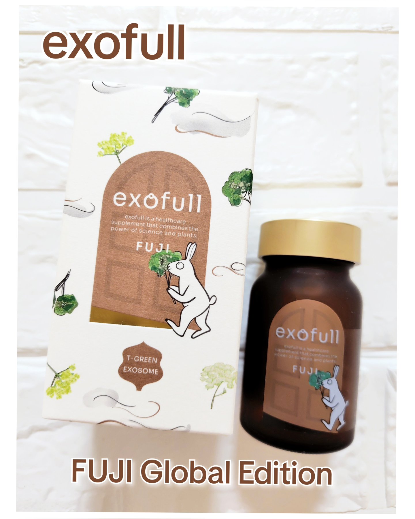 エクソフル・フジ/TIME TRAVELER/健康サプリメントを使ったクチコミ（1枚目）