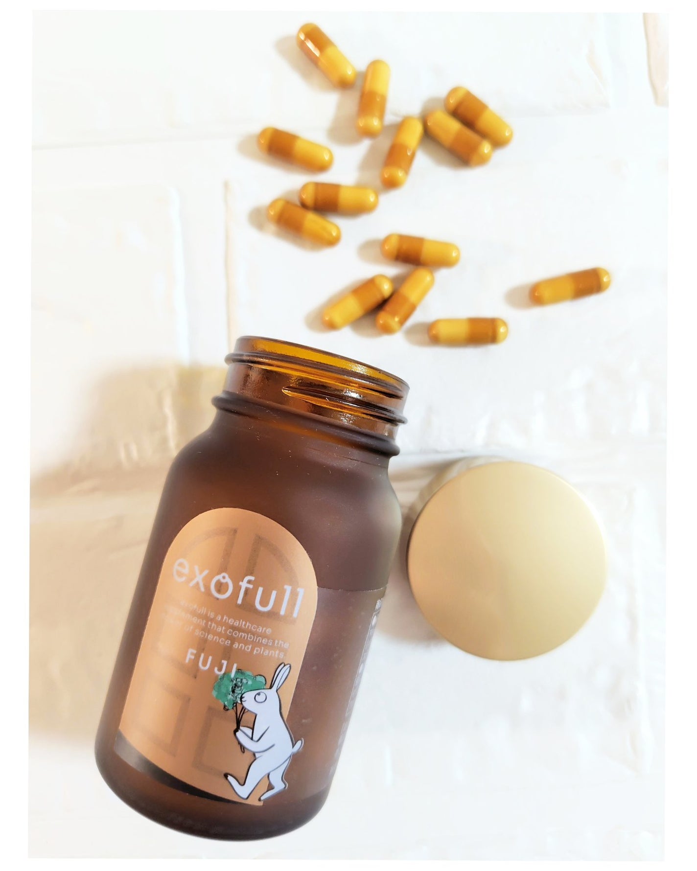 エクソフル・フジ/TIME TRAVELER/健康サプリメントを使ったクチコミ(3枚目)