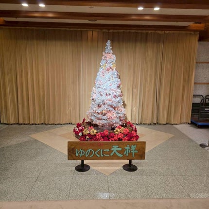 プランぷくコーデアイズ/キャンメイク/パウダーアイシャドウを使ったクチコミ(4枚目)