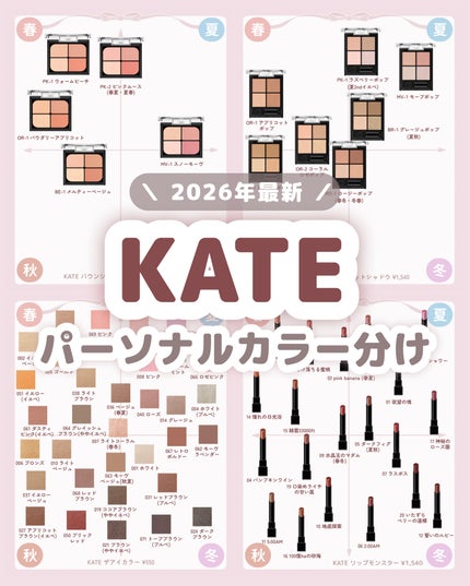 ケイト リップモンスター/KATE/口紅を使ったクチコミ(1枚目)