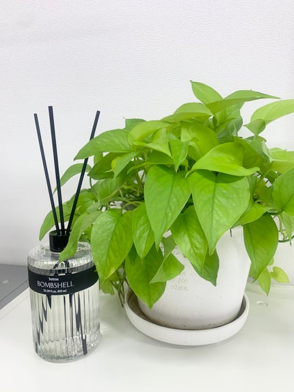 ヘリテージディフューザー/hetras/ルームフレグランスを使ったクチコミ(4枚目)