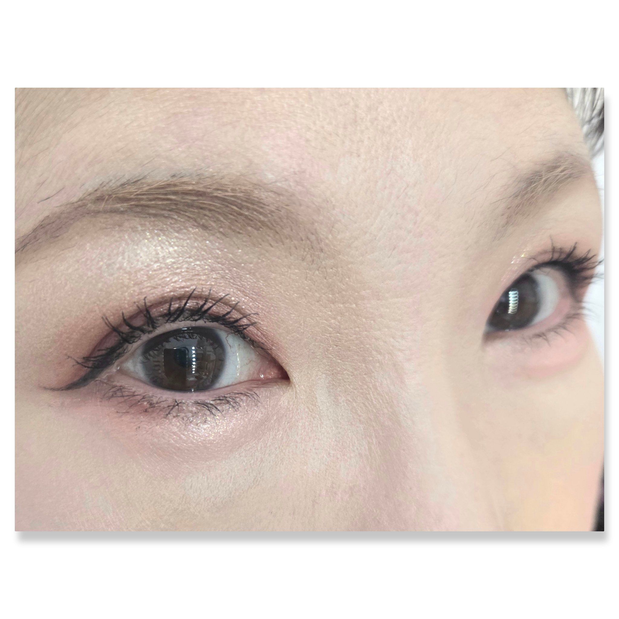 ミネラルクラッシィシャドー/エトヴォス/アイシャドウパレットを使ったクチコミ（2枚目）