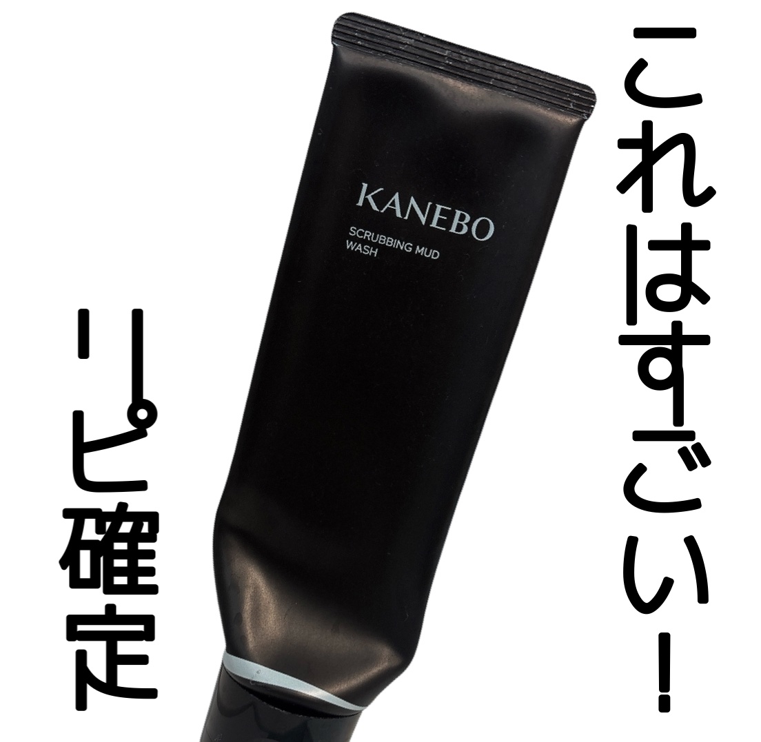 スクラビング　マッド　ウォッシュ/KANEBO/洗顔フォームを使ったクチコミ（1枚目）