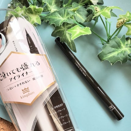 リキッドアイライナーTP/キングダム/リキッドアイライナーを使ったクチコミ(1枚目)