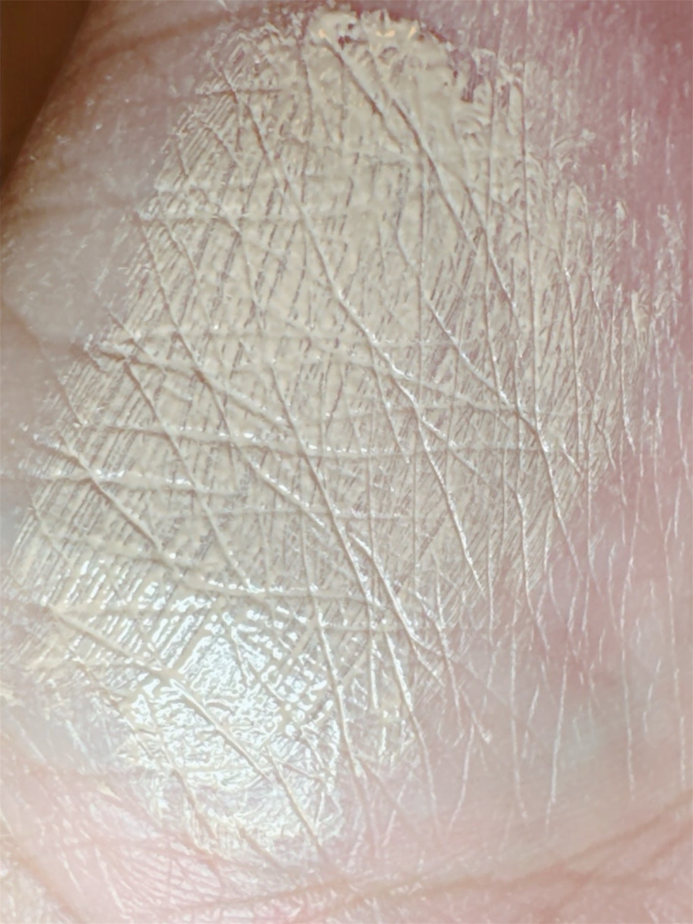 淡眉コンシーラー/シークレットサロン/眉マスカラを使ったクチコミ(6枚目)