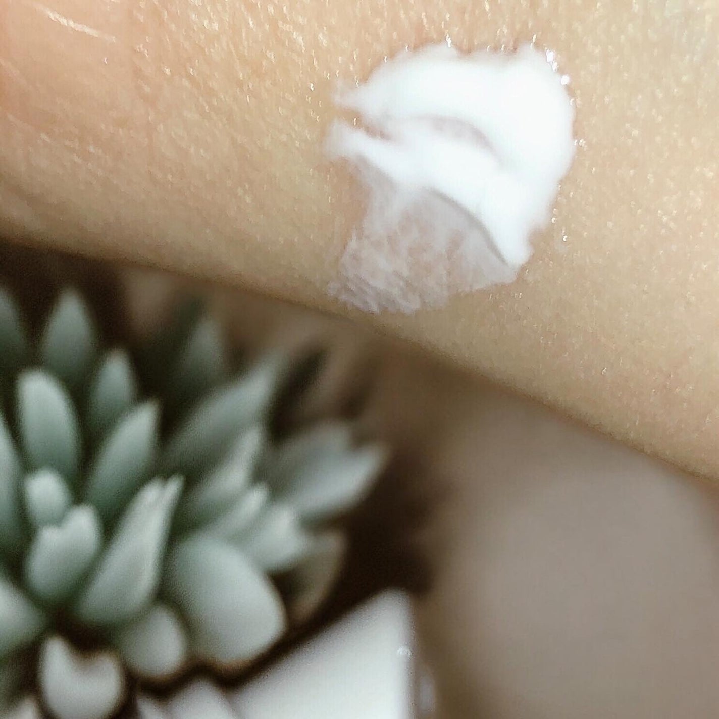 ノイズカットリップパック/メディプラス/リップクリームを使ったクチコミ(3枚目)