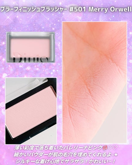 ブラーフィニシュシャドウパレット/Dinto/アイシャドウパレットを使ったクチコミ(3枚目)