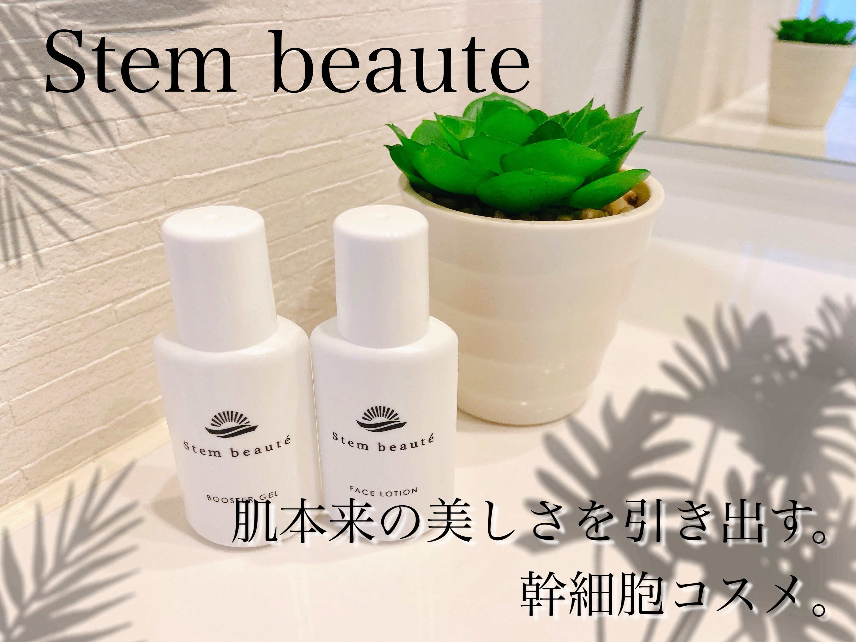 New Trial set/ステムボーテ/トライアルキットを使ったクチコミ（1枚目）