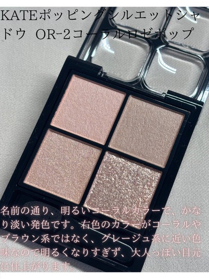 ケイト ポッピングシルエットシャドウ/KATE/アイシャドウパレットを使ったクチコミ(3枚目)