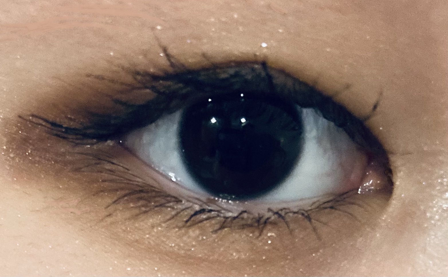 ベージュトーンアイシャドウ/CEZANNE/アイシャドウパレットを使ったクチコミ（1枚目）