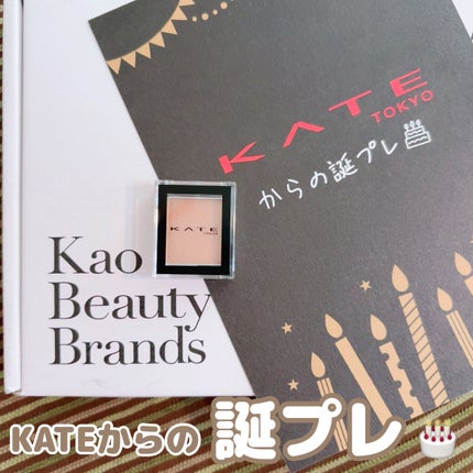 ケイト ザ アイカラー/KATE/単色アイシャドウを使ったクチコミ(1枚目)