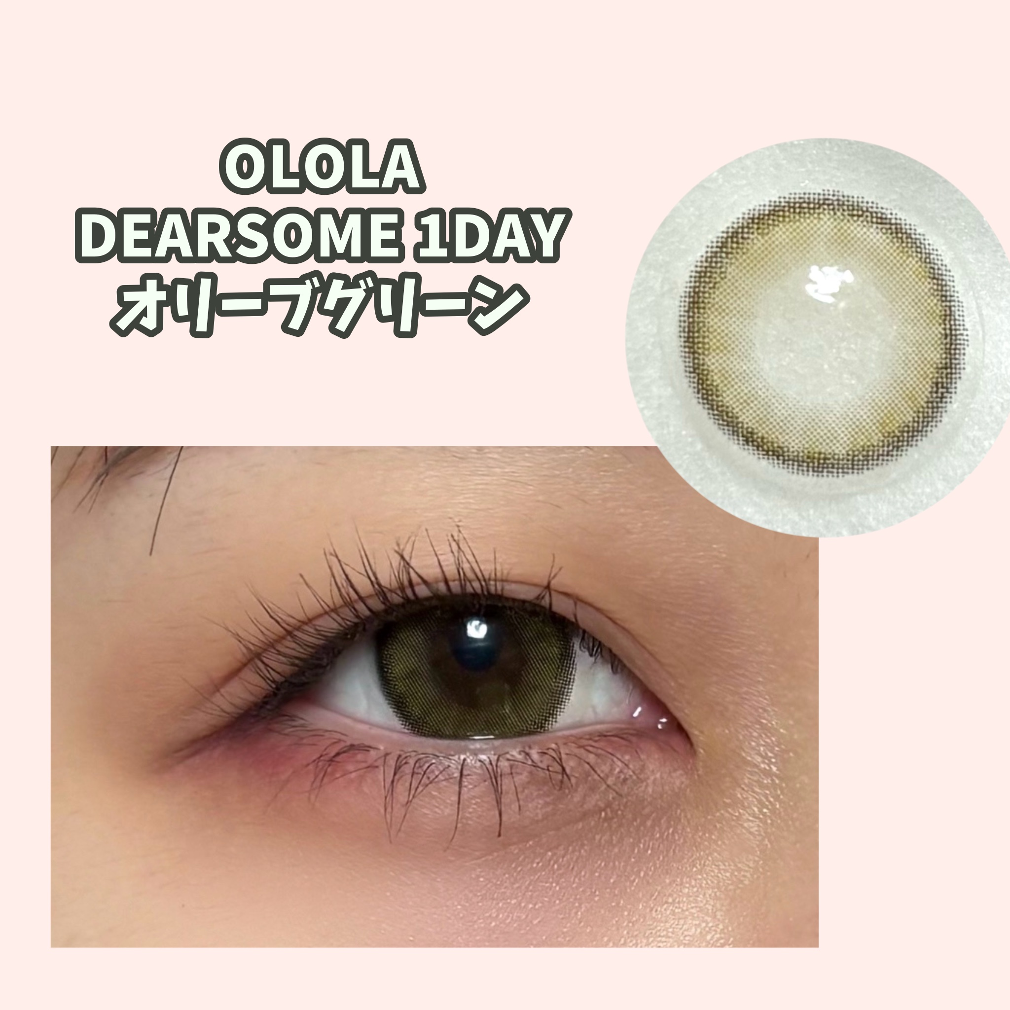 OLOLA DEARSOME 1DAYのクチコミ「着色直径小さめ オリーブカラコン

OLOLA
DEARSOME 1DAY
オリーブグリーン
.....」（1枚目）