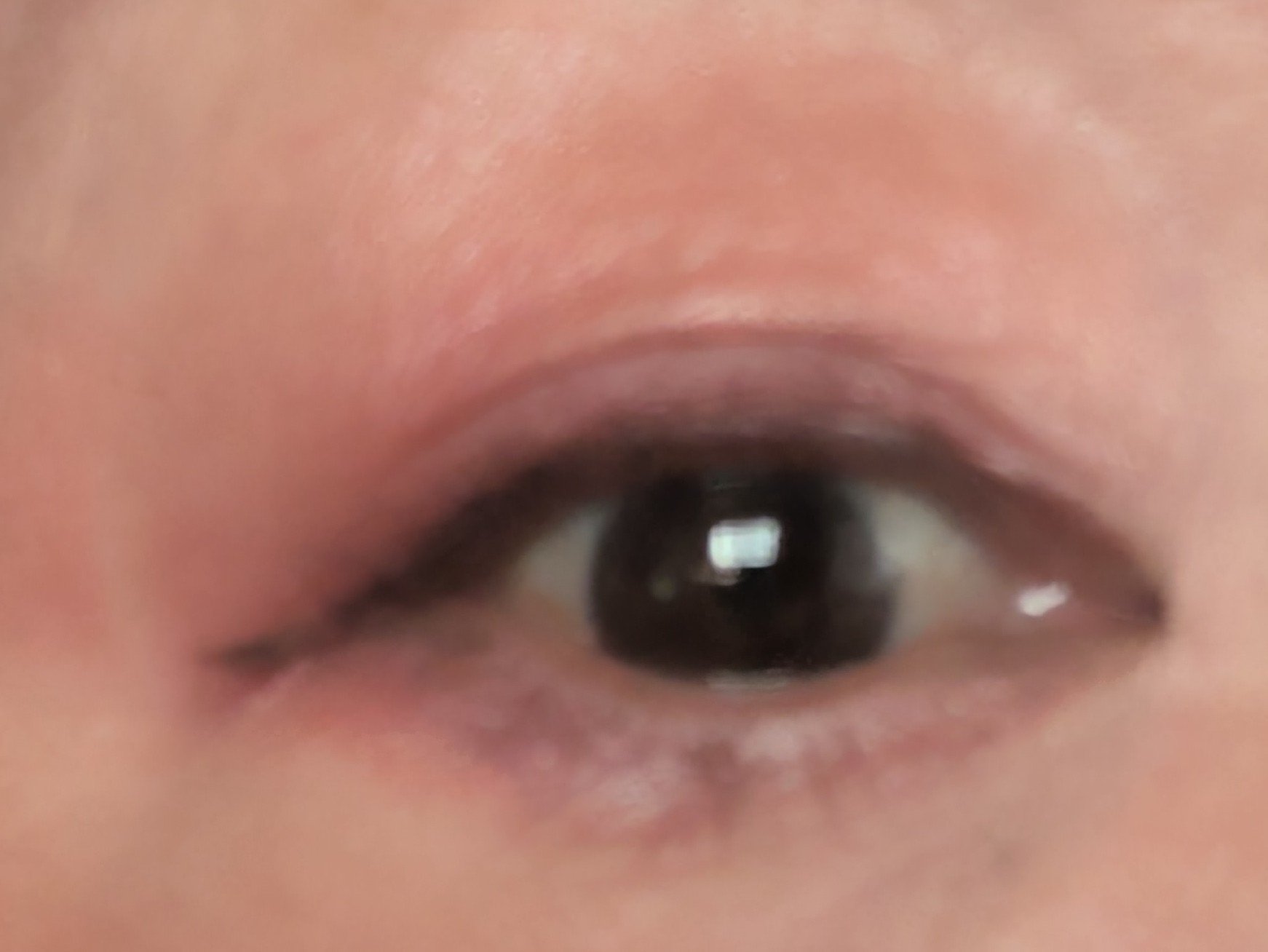 ジェル アイライナー/ちふれ/ジェルアイライナーを使ったクチコミ（2枚目）