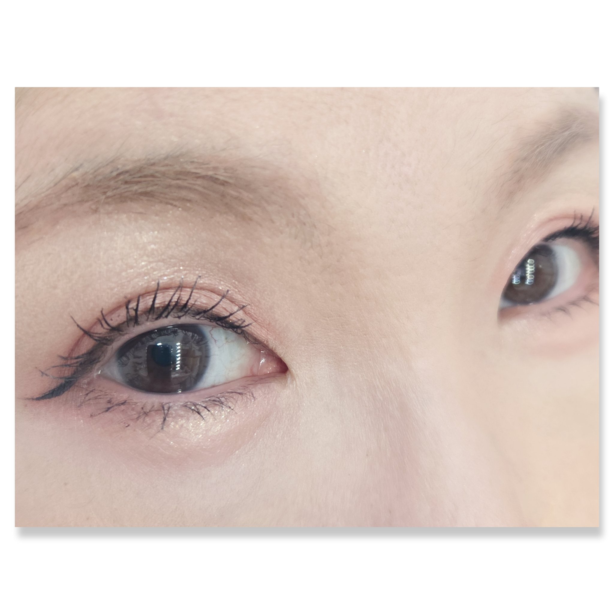 キス ズームアイポーション/KiSS/アイシャドウパレットを使ったクチコミ（2枚目）