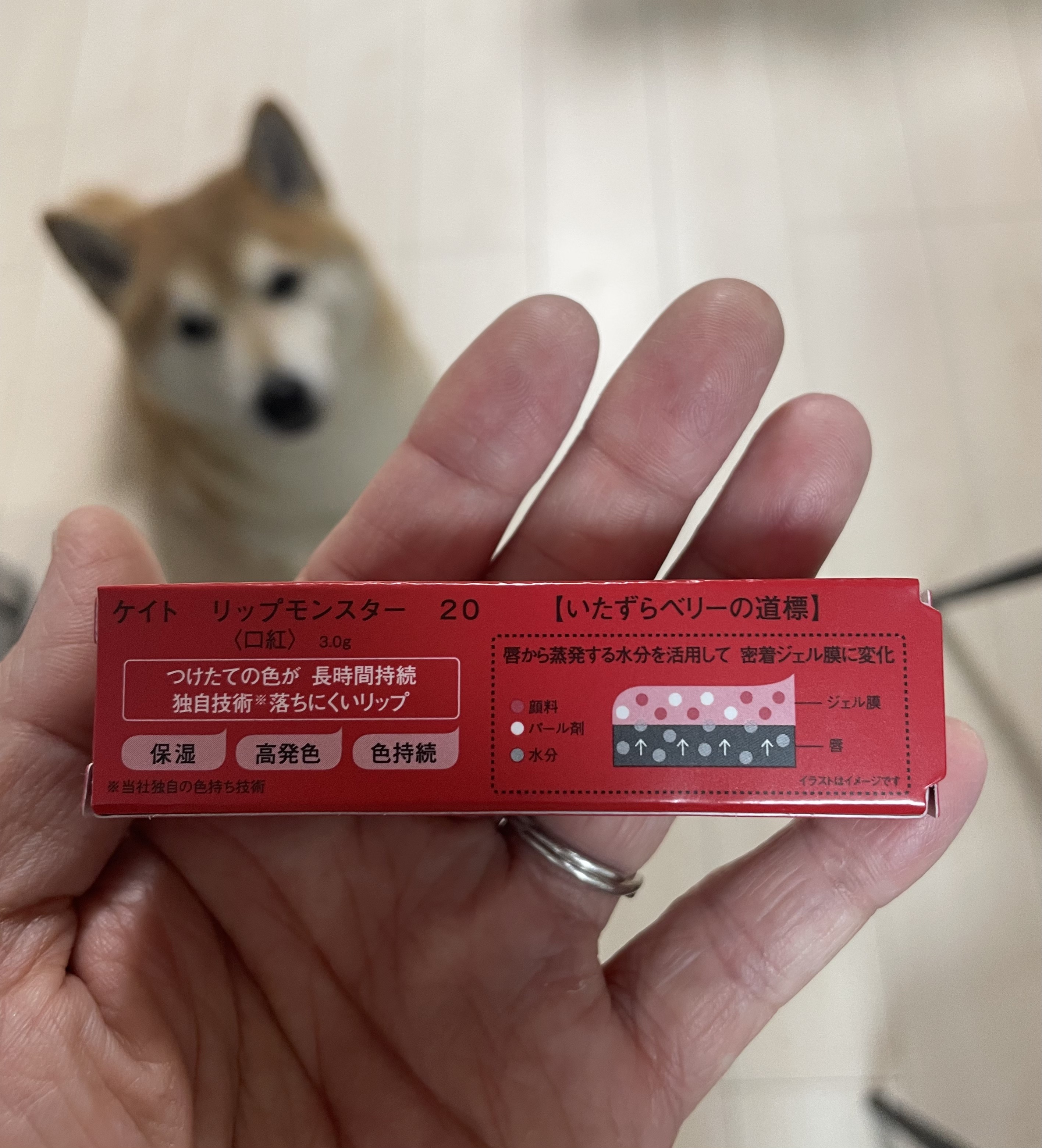 ステイオンバームルージュ/キャンメイク/口紅を使ったクチコミ（2枚目）