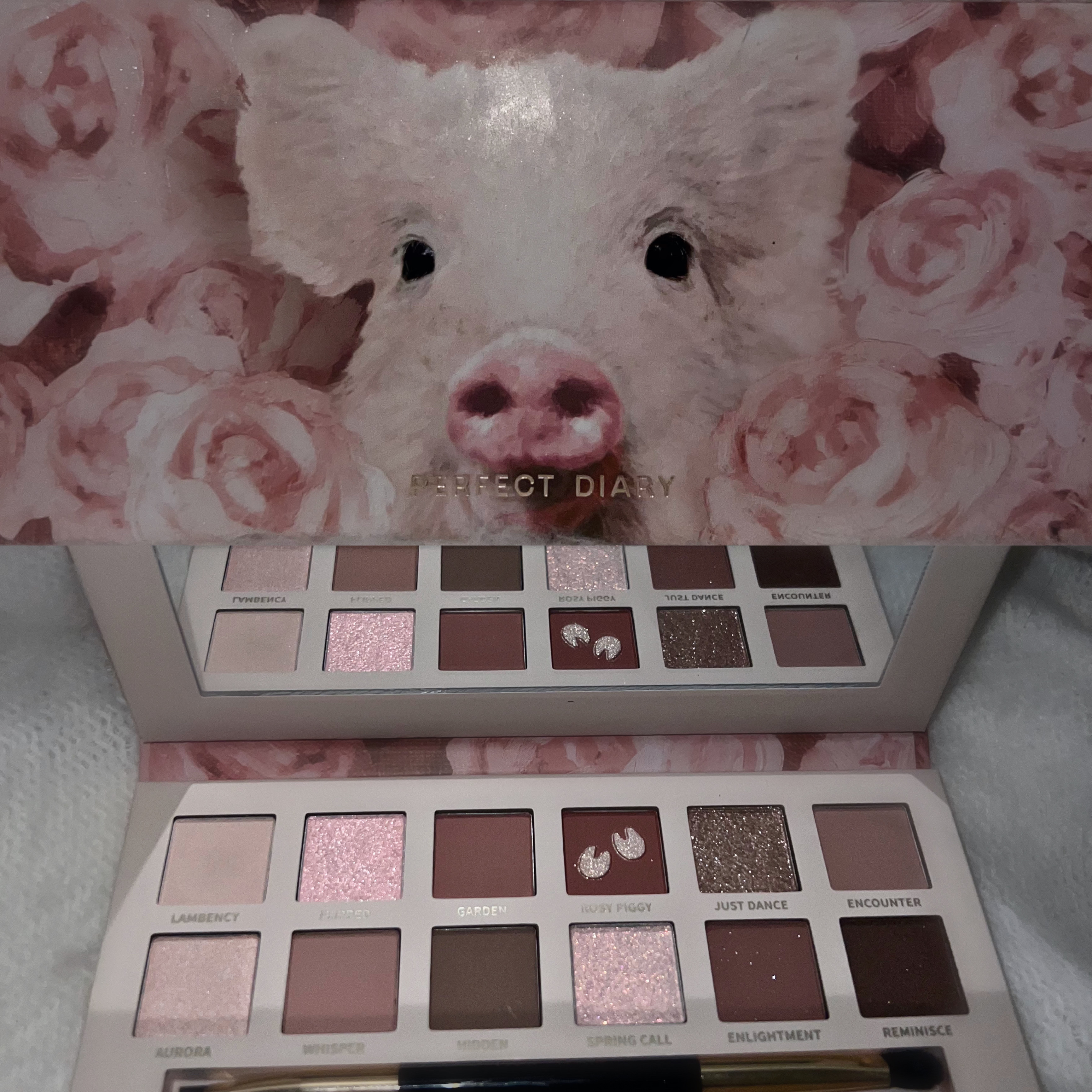 エクスプローラ12色 動物アイシャドウパレット/PERFECT DIARY/アイシャドウパレットを使ったクチコミ（1枚目）