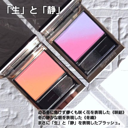 シグニチャー カラー アイズ/SUQQU/アイシャドウパレットを使ったクチコミ(7枚目)