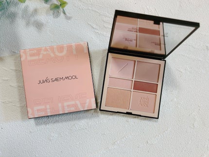 アーティストアイパレット/JUNG SAEM MOOL/アイシャドウパレットを使ったクチコミ(1枚目)