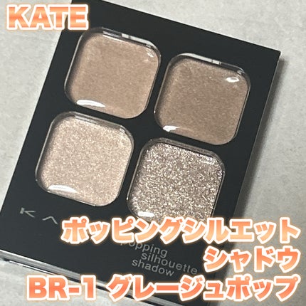 ケイト ポッピングシルエットシャドウ/KATE/アイシャドウパレットを使ったクチコミ(1枚目)