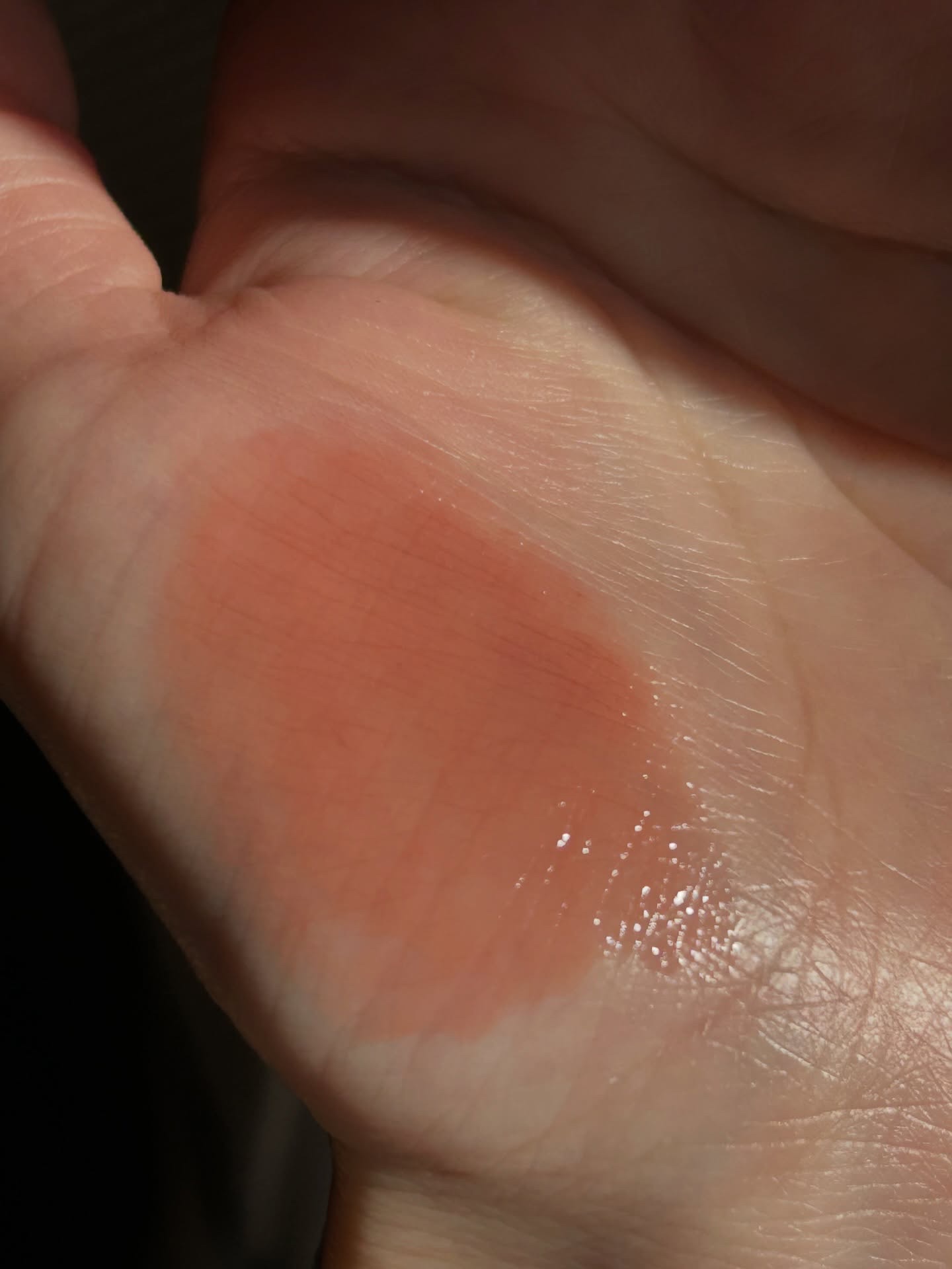 センシュアル ティンティッド シャイン スティック/HERA/口紅を使ったクチコミ（2枚目）