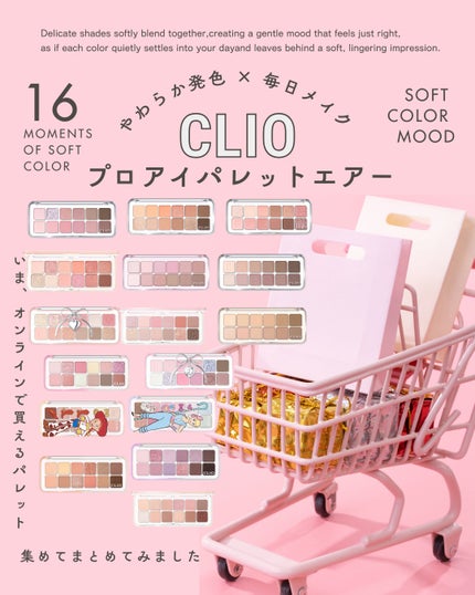 プロ アイ パレット エアー/CLIO/アイシャドウパレットを使ったクチコミ(1枚目)