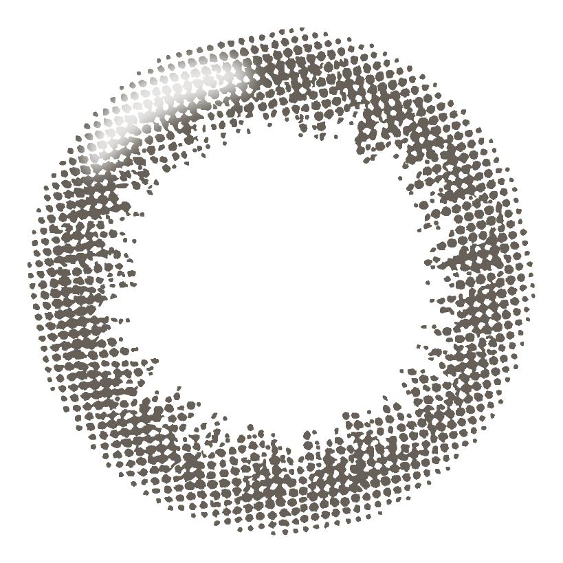 ダークブラウン（10枚入）