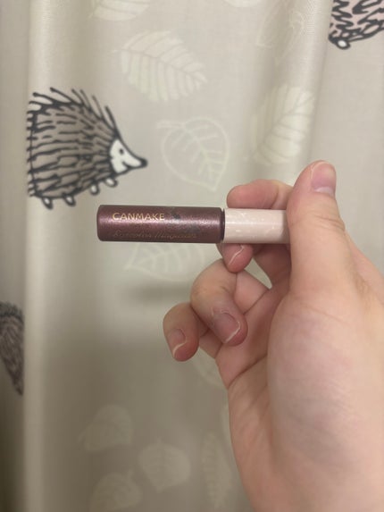 アイカラーマジシャン/キャンメイク/アイシャドウを使ったクチコミ(1枚目)