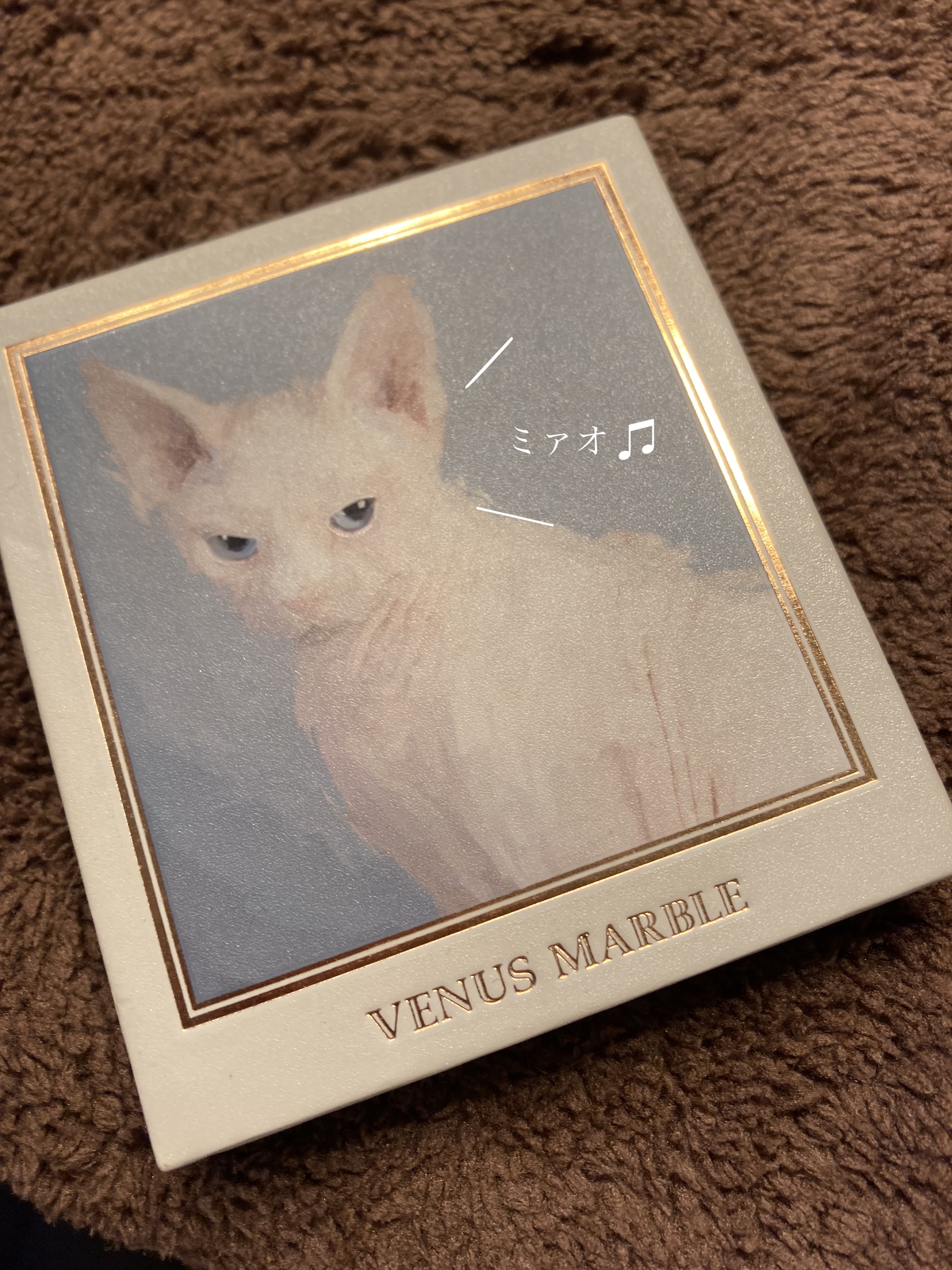 Venus Marble アイシャドウキャットシリーズ/Venus Marble/アイシャドウパレットを使ったクチコミ（1枚目）