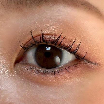 エクスプローラ12色 動物アイシャドウパレット/PERFECT DIARY/アイシャドウパレットを使ったクチコミ(2枚目)