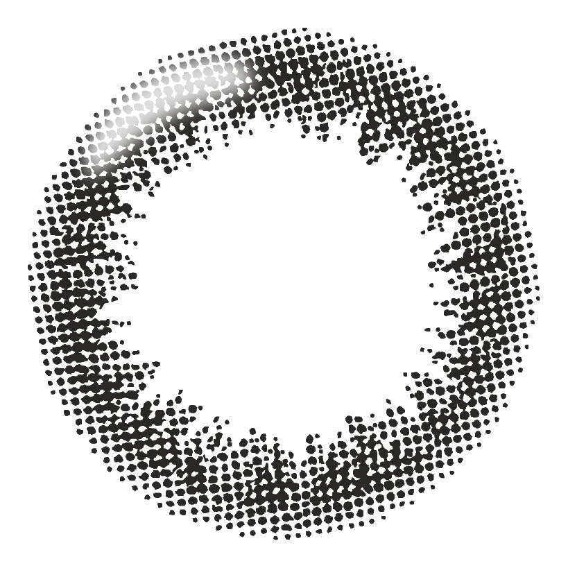 ブラック（10枚入）