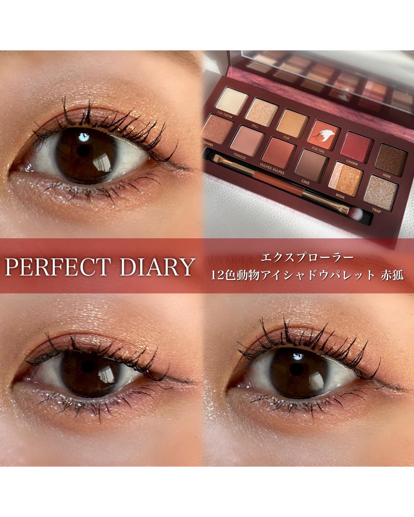 エクスプローラ12色 動物アイシャドウパレット/PERFECT DIARY/アイシャドウパレットを使ったクチコミ（1枚目）