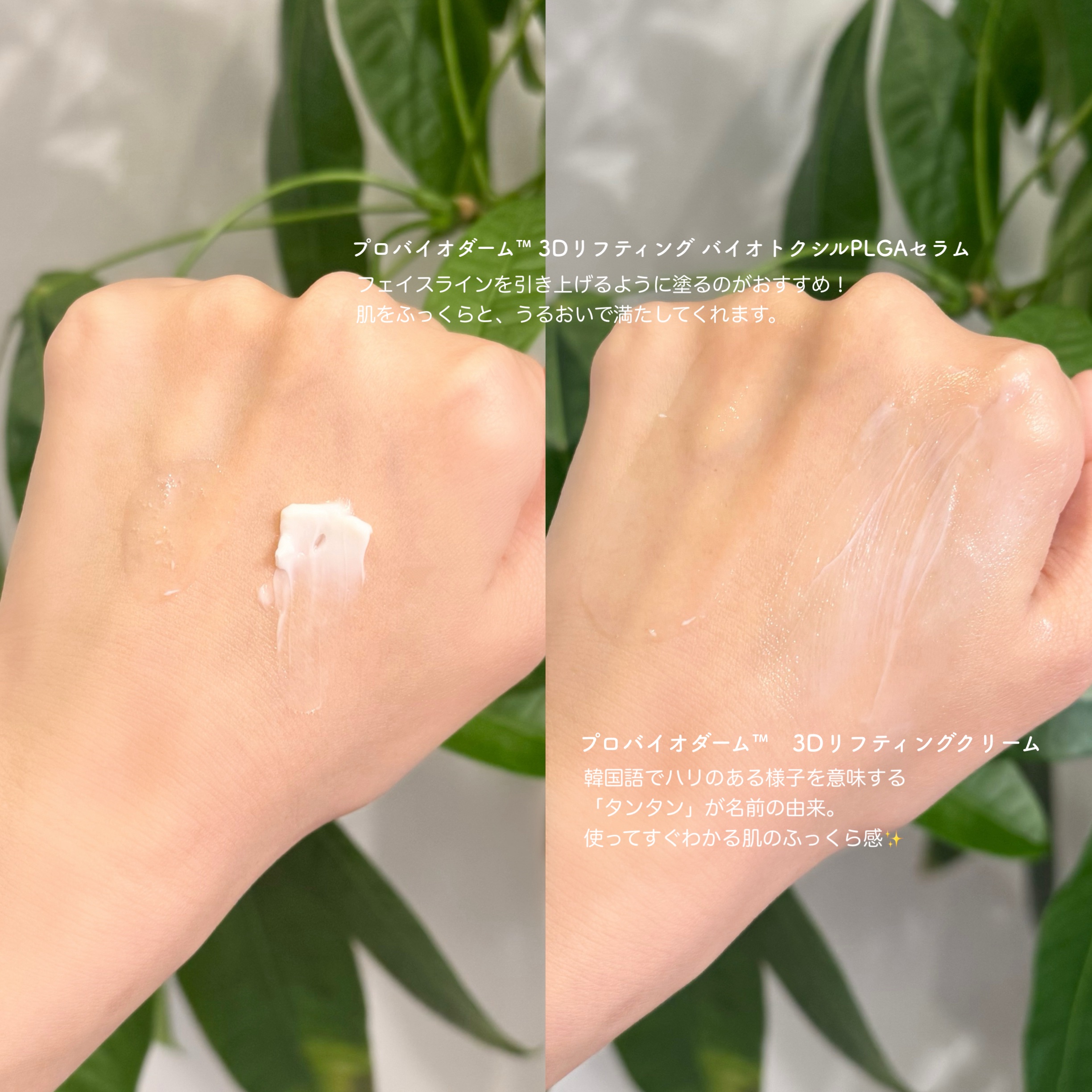 プロバイオダーム™ 3Dリフティング バイオトクシルPLGAセラム/BIOHEAL BOH/美容液を使ったクチコミ（2枚目）