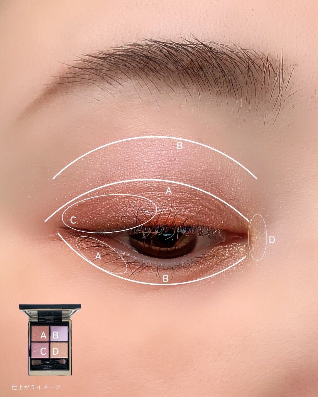 シグニチャー カラー アイズ/SUQQU/アイシャドウパレットを使ったクチコミ(8枚目)