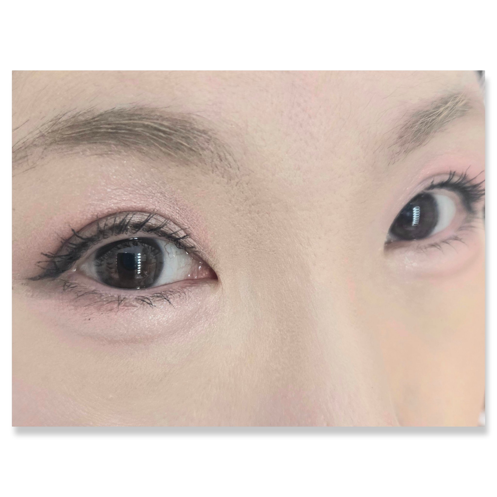 ショコラスウィート アイズ/リンメル ロンドン/アイシャドウパレットを使ったクチコミ（2枚目）