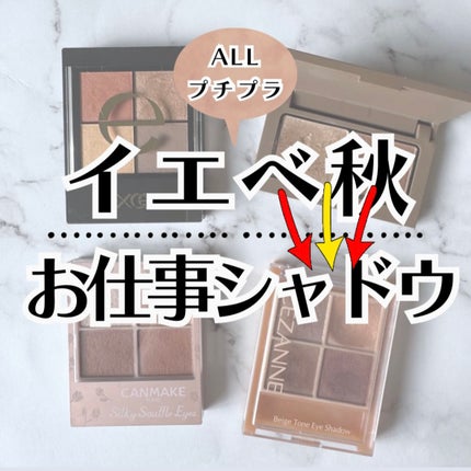 ベージュトーンアイシャドウ/CEZANNE/アイシャドウパレットを使ったクチコミ(2枚目)